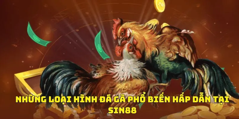Những loại hình đá gà phổ biến hấp dẫn tại Sin88