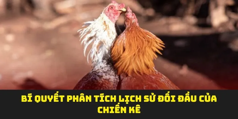 Bí quyết phân tích lịch sử đối đầu của chiến kê