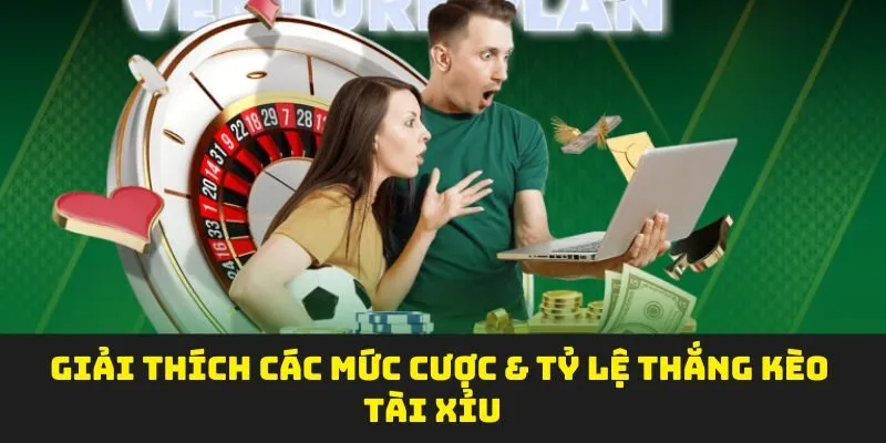 Giải thích các mức cược & tỷ lệ thắng kèo tài xỉu