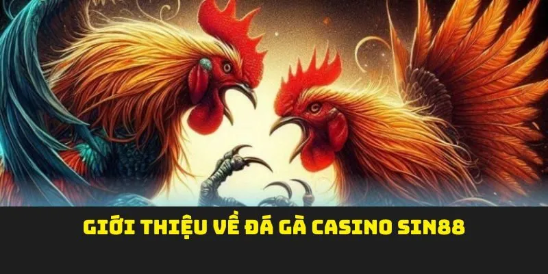 Giới thiệu về đá gà casino Sin88