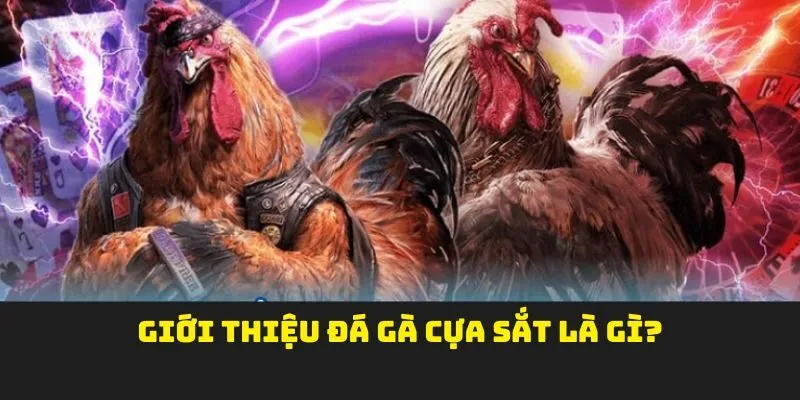 Giới thiệu Đá gà cựa sắt là gì?