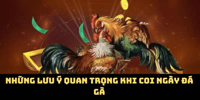 Những lưu ý quan trọng khi coi ngày đá gà