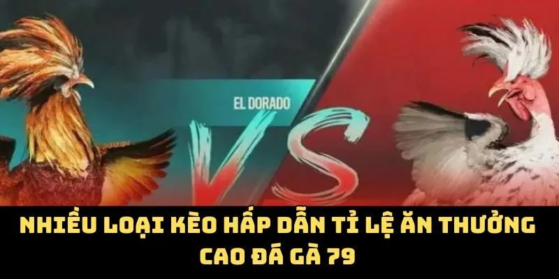 Nhiều loại kèo hấp dẫn tỉ lệ ăn thưởng cao đá gà 79