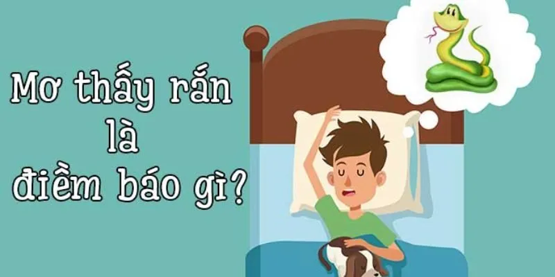 Mơ thấy rắn và ý nghĩa của nó trong phong thủy