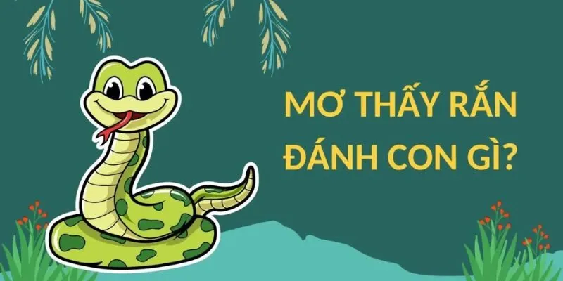 Nằm Mơ Thấy Rắn Đánh Số Gì? Giải Mã Giấc Mơ Bí Ẩn Từ Sin88